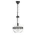 Hudson Valley Hagen 1 Light Small Pendant Model: 1810-PN