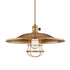 Hudson Valley Heirloom 1 Light Pendant Model: 9001-AGB-ML2-WG