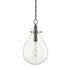 Hudson Valley Ivy 1 Light Medium Pendant Model: BKO102-PN