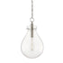 Hudson Valley Ivy 1 Light Medium Pendant Model: BKO102-PN