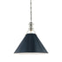 Hudson Valley Painted No.2 1 Light Large Pendant Model: MDS352-PN/BB