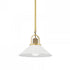 Hudson Valley Syosset 1 Light Small Pendant Model: 2613-AGB/BK
