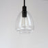 Maxim Babylon 1 Light Pendant Model: 11112CLBK