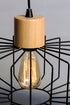Maxim Bjorn 1 Light Pendant Model: 10069BKNWD