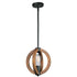 Maxim Bodega Bay 1 Light Pendant Model: 91910APAR