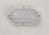 Maxim Bulwark 1 Light Outdoor Wall Sconce Model: 10110FTWT