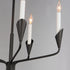 Maxim Calyx 5 Light Chandelier Model: 24345BK