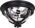 Maxim Camden Vx Camden 3 Light Outdoor Ceiling Mount Model: 41420WGGO