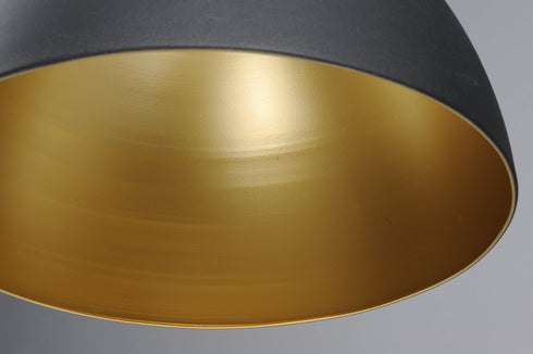 Maxim Cora Single Pendant Model: 11022BKGLD