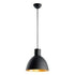 Maxim Cora Single Pendant Model: 11024BKGLD