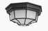 Maxim Crown Hill 2 Light Outdoor Ceiling Mount Model: 1020BK