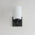 Maxim Deven Wall Sconce Model: 20030SWBK