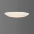 Maxim Diverse LED Flush Mount Model: 57853WTWT