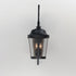 Maxim Dover Vx 3 Light Outdoor Wall Lantern Model: 40095CDBZ