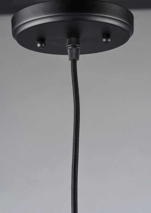 Maxim Early Electric Single Pendant Model: 12121BKAB