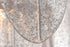 Maxim Glacier Flush Mount Model: 30730CLWTPC