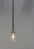 Maxim Goblet 1 Light Mini Pendant Model: 96120CLBKSN