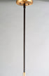 Maxim Goblet 1 Light Mini Pendant Model: 96120CLBKSN