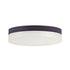 Maxim Illuminaire II 9"rd 18 Watt LED Flush Mt Model: 57683CLFTBZ