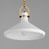 Maxim Lumi Single Pendant Model: 12386WTSBR