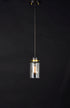 Maxim Magnolia 1 Light Mini Pendant Model: 91070CLBZGLD