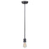 Maxim Mini Hi-bay Mini Hi Bay Single Pendant Model: 25038SN/BUI