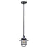 Maxim Mini Hi-bay Mini Hi Bay Single Pendant Model: 25050ACP