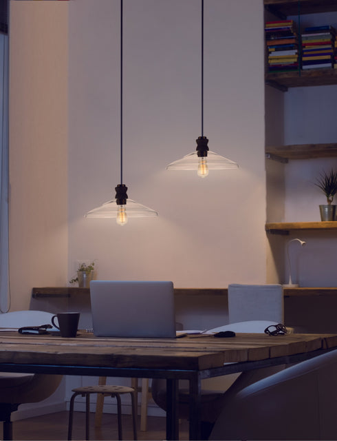 Maxim Nelson 1 Light Pendant Model: 10100CLWOAB