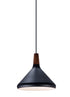 Maxim Nordic 1 Light Pendant Model: 11350WNBK