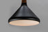 Maxim Nordic 1 Light Pendant Model: 11350WNBK