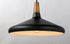 Maxim Nordic 1 Light Pendant Model: 11354WNBK
