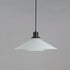 Maxim Oslo 19 Inch 1 Light Large Pendant Model: 11414BKWT