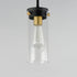 Maxim Pinn Mini Pendant Model: 12406CLBKSBR