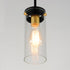 Maxim Pinn Mini Pendant Model: 12406CLBKSBR