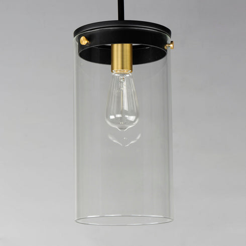 Maxim Pinn Single Pendant Model: 12408CLBKSBR