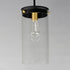 Maxim Pinn Single Pendant Model: 12408CLBKSBR