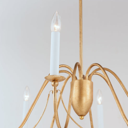Maxim Plumette 8 Light Chandelier Model: 12168CHB