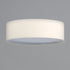 Maxim Prime 20 Inch Wide LED Flushmount Model: 10222WL