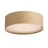 Maxim Prime 16 Inch Wide LED Flushmount Model: 10220GC