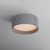 Maxim Prime Flush Mount Model: 10220GY