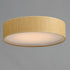 Maxim Prime Flush Mount Model: 10222GC