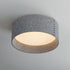 Maxim Prime Flush Mount Model: 10222GY