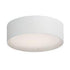 Maxim Prime 20 Inch Wide LED Flushmount Model: 10232WL