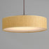 Maxim Prime Single Pendant Model: 10226WLSN