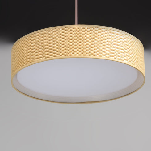 Maxim Prime Single Pendant Model: 10226WLSN
