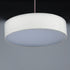 Maxim Prime Single Pendant Model: 10226WLSN