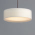 Maxim Prime Single Pendant Model: 10226WLSN