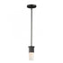 Maxim Rexford 1 Light Mini Pendant Model: 10362CDBK