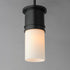 Maxim Rexford 1 Light Mini Pendant Model: 10362CDBK