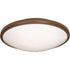 Maxim Rim Ee Flush Mount Model: 87210SN